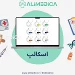 اسکالپ