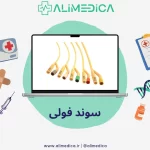 سوند فولی